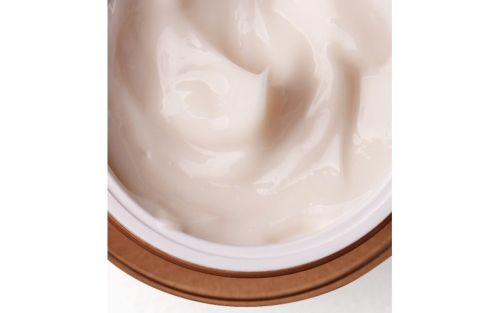 Manyo Factory Bifida Biome Concentrate Cream Крем с лизатом бифидобактерий 50мл фото 2
