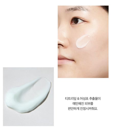 Real Barrier Control-T Sebomide Cream Себорегулирующий крем для жирной и комбинированной кожи 50мл фото 3