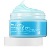 Mizon Water Volume EX Cream Интенсивно увлажняющий крем со снежными водорослями 100мл